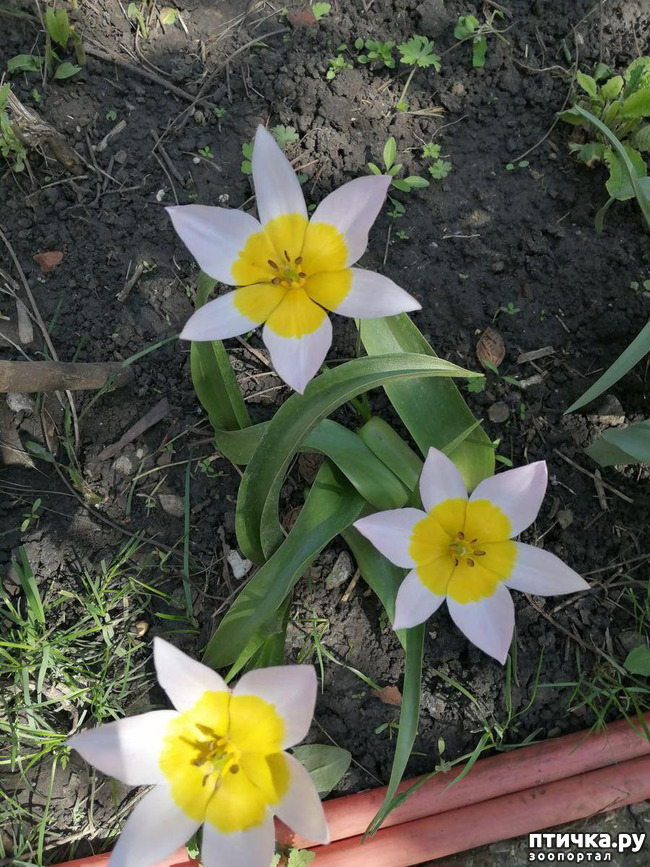 ���� 4: ������� �������:)