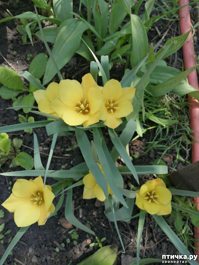 ���� 5: ������� �������:)