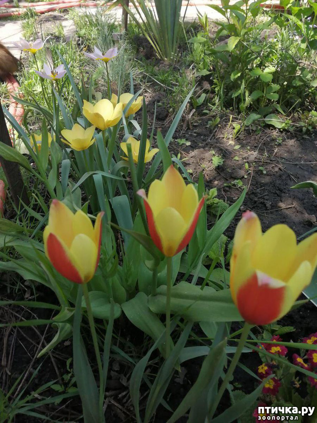 ���� 6: ������� �������:)