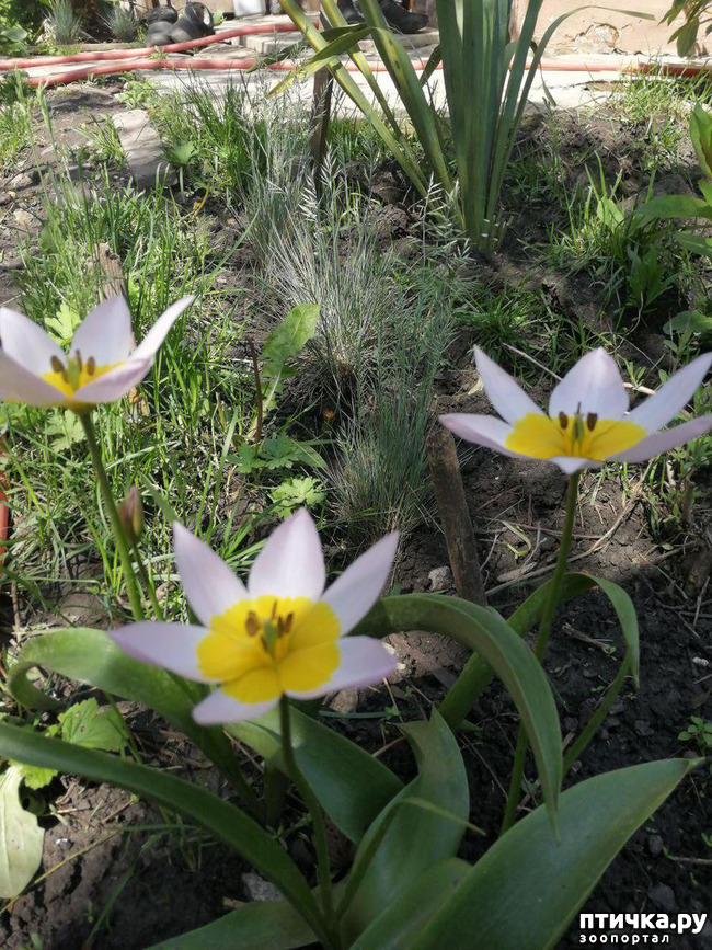 ���� 7: ������� �������:)