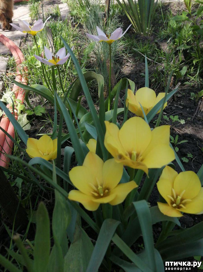 ���� 8: ������� �������:)