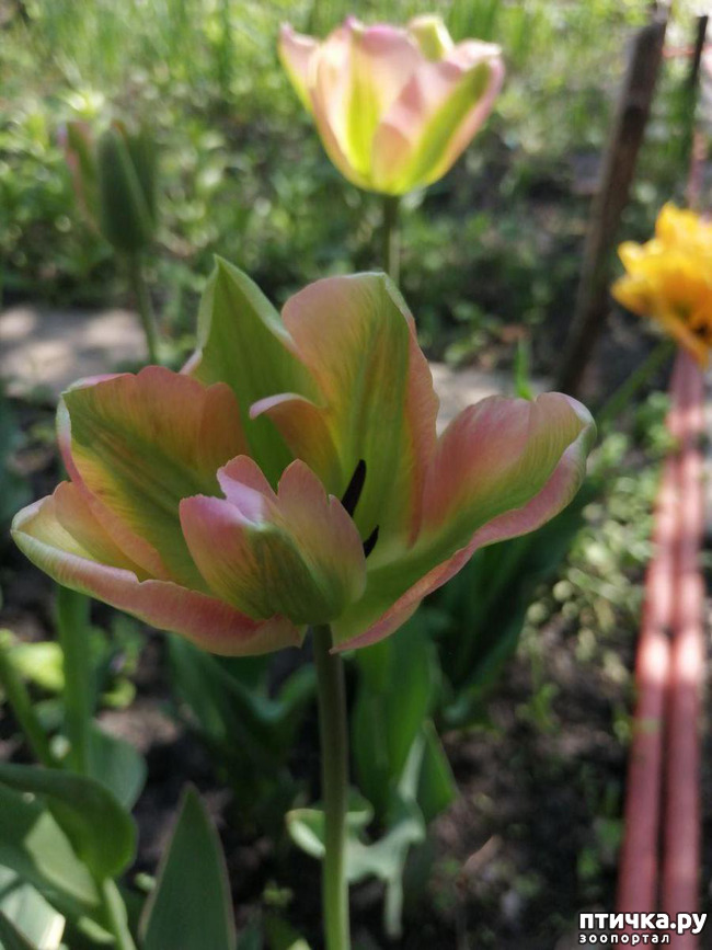 ���� 9: ������� �������:)