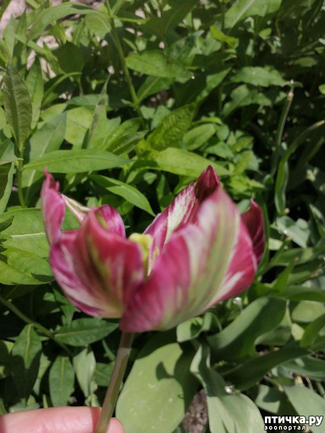 ���� 10: ������� �������:)