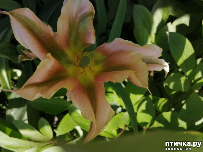 ���� 11: ������� �������:)