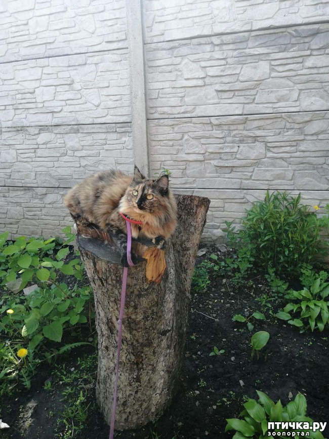 ���� 12: ������� �������:)