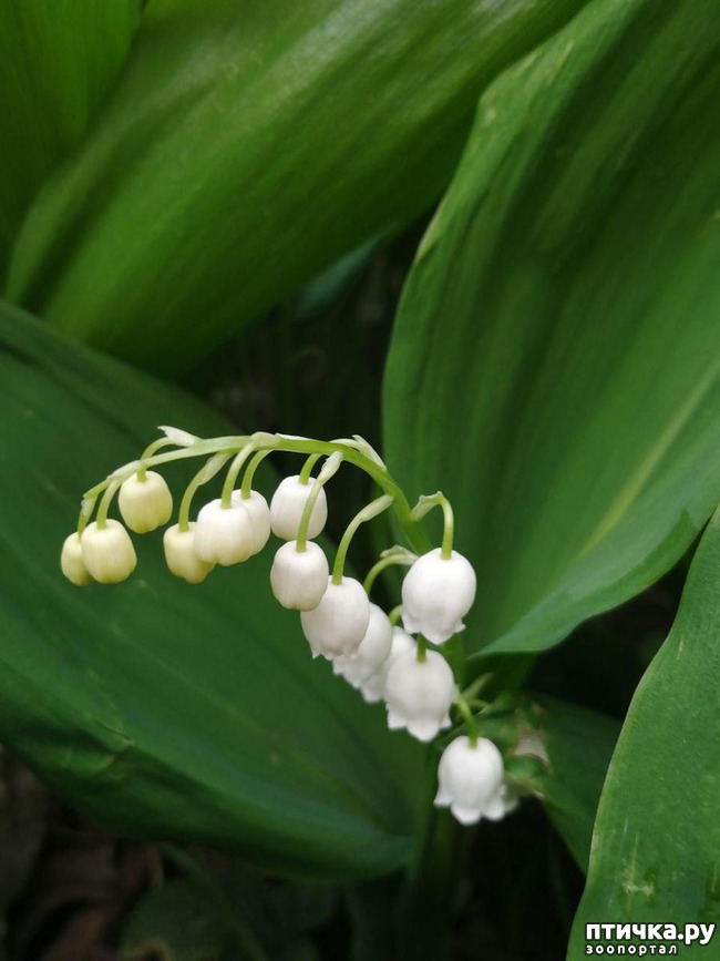 ���� 13: ������� �������:)