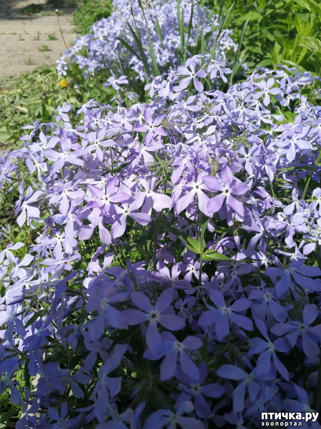 ���� 14: ������� �������:)