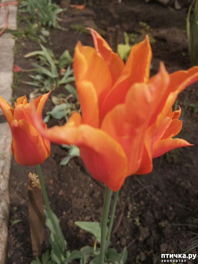 ���� 15: ������� �������:)