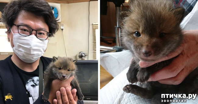 ���� 2: �������