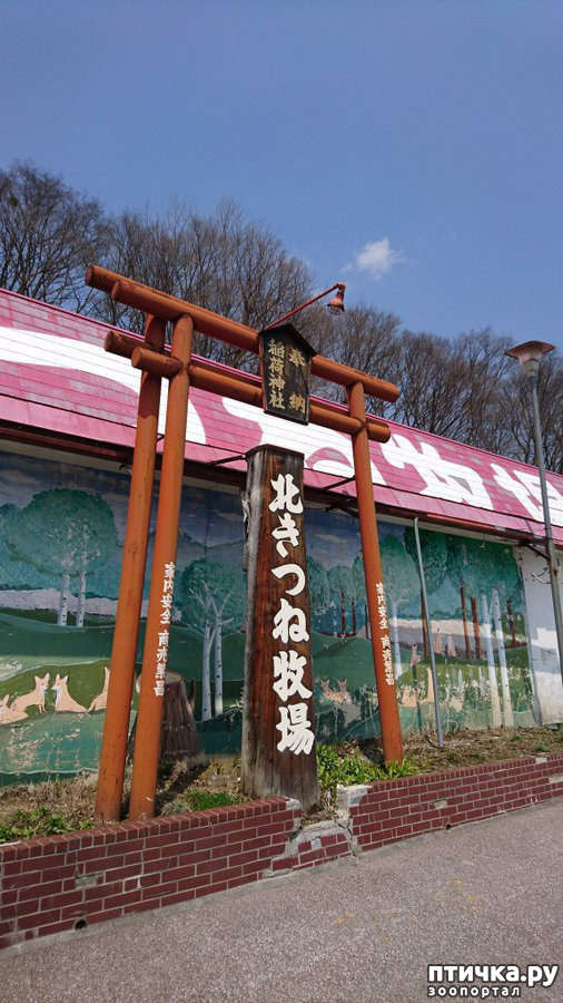 ���� 6: �������