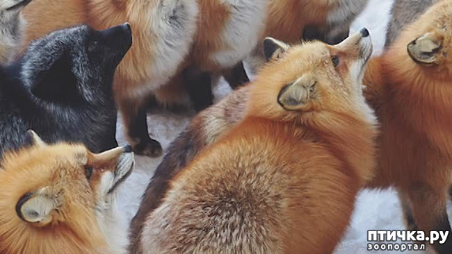 ���� 9: �������