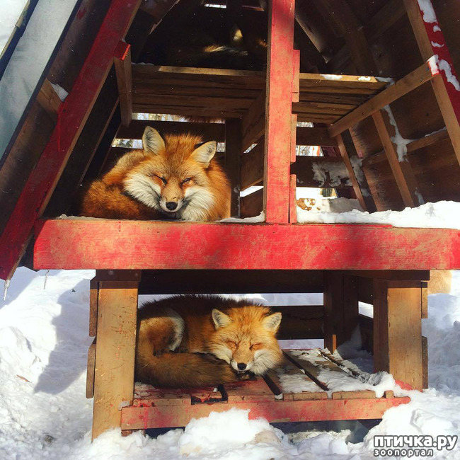 ���� 10: �������