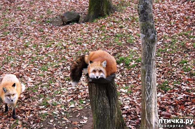 ���� 8: �������