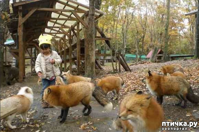 ���� 12: �������