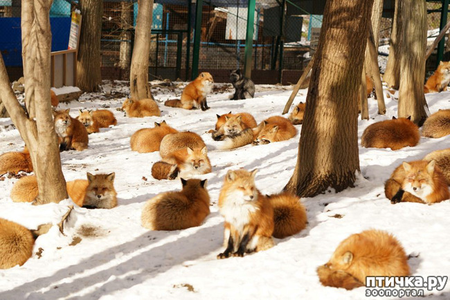 ���� 13: �������