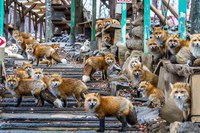 ���� 16: �������