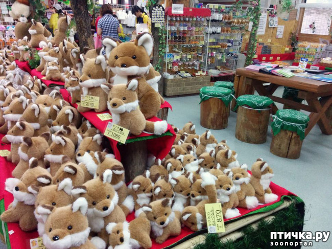 ���� 18: �������