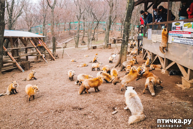 ���� 11: �������