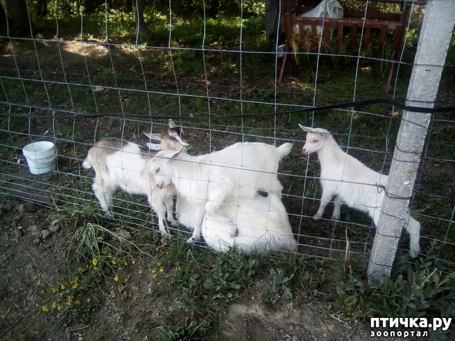 ���� 3: ��������� �������� ���������