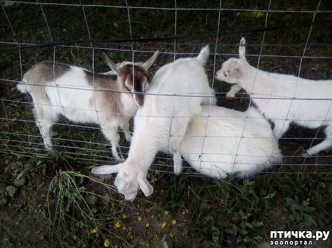 ���� 4: ��������� �������� ���������