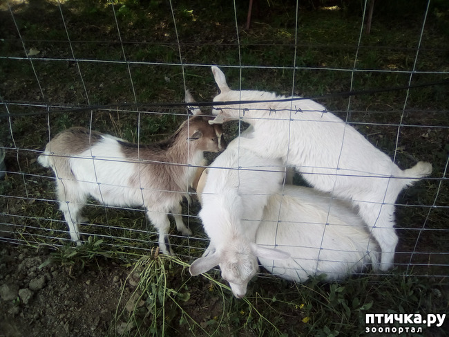 ���� 5: ��������� �������� ���������