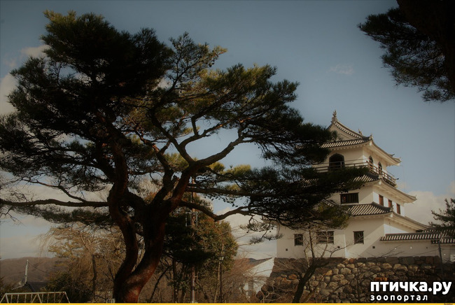 ���� 1: �������