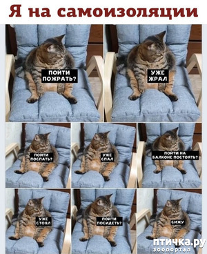 ����: � ���� �����?