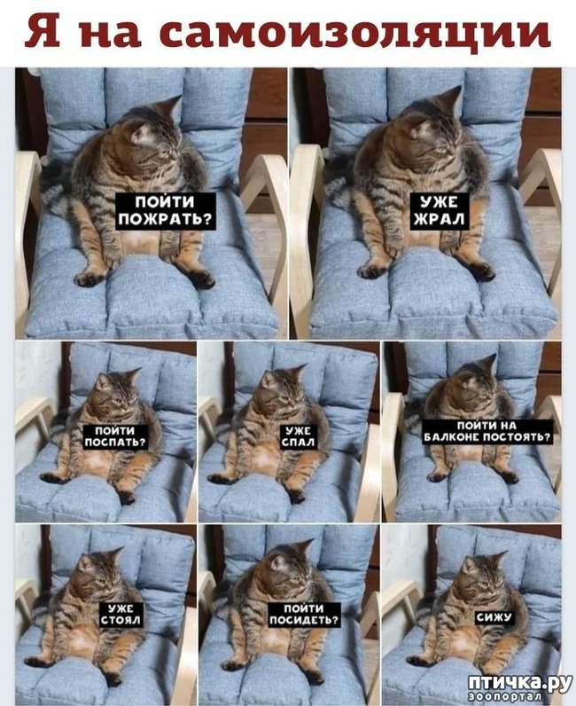 ���� 1: � ���� �����?