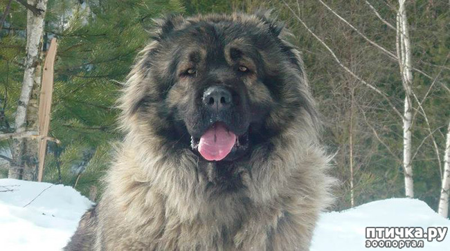 ���� 1: � ���� ������� �����.. ��� �� �����)) ���-���������� �������.. ������� ����������� ������.. ������� ������ �� ������ ������))) � ����� ������ ������)))