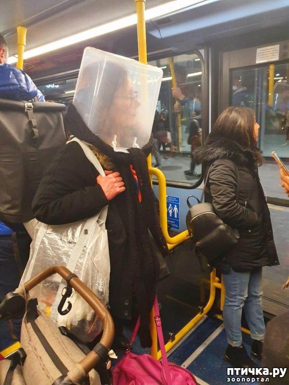 ���� 6: �������� �����