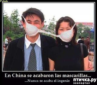 ���� 7: �������� �����