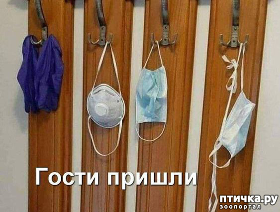 ���� 15: �������� �����