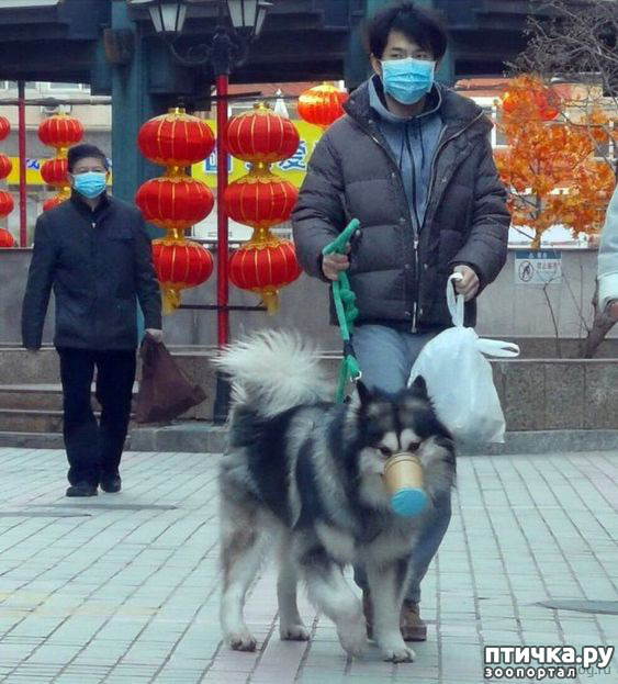 ���� 9: �������� �����