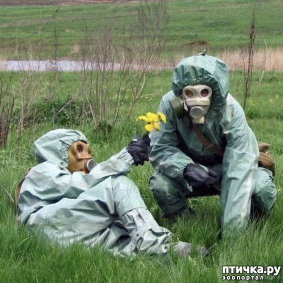 ���� 16: �������� �����