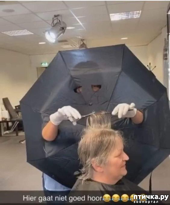 ���� 8: �������� �����