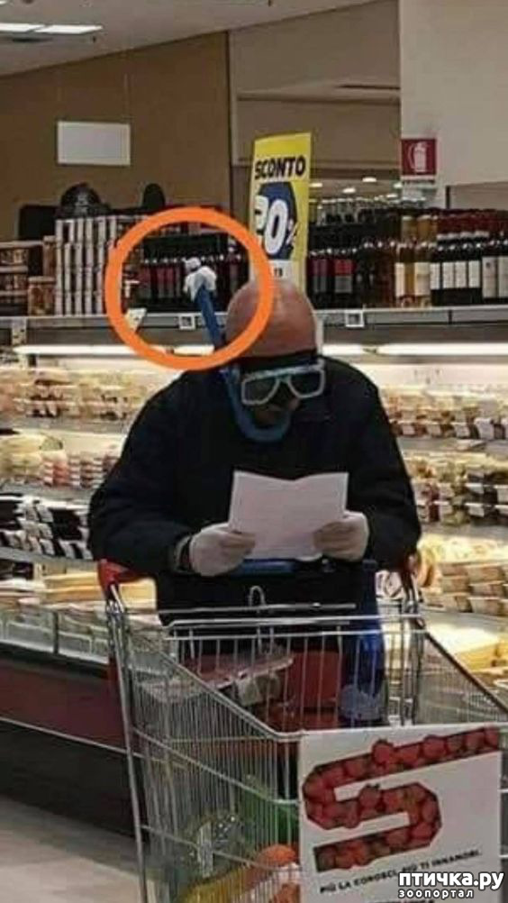 ���� 10: �������� �����