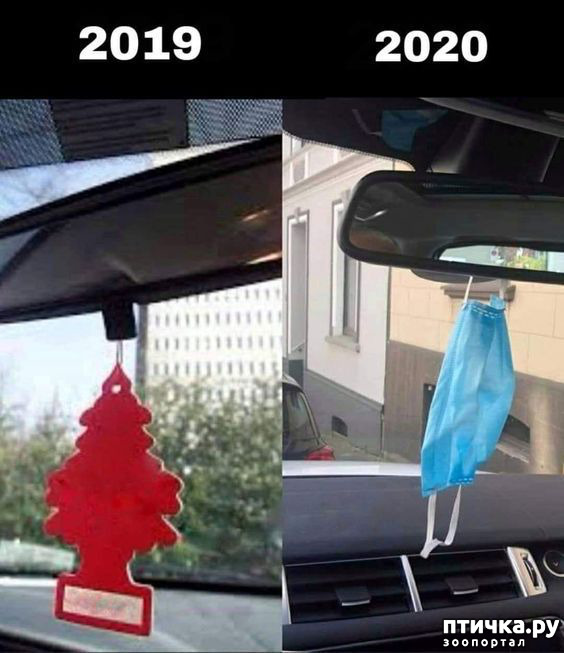 ���� 12: �������� �����