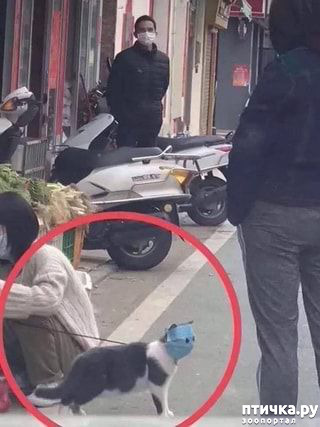 ���� 14: �������� �����