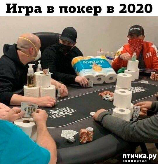 ���� 17: �������� �����