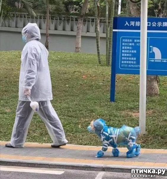 ���� 19: �������� �����