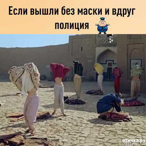 ���� 20: �������� �����