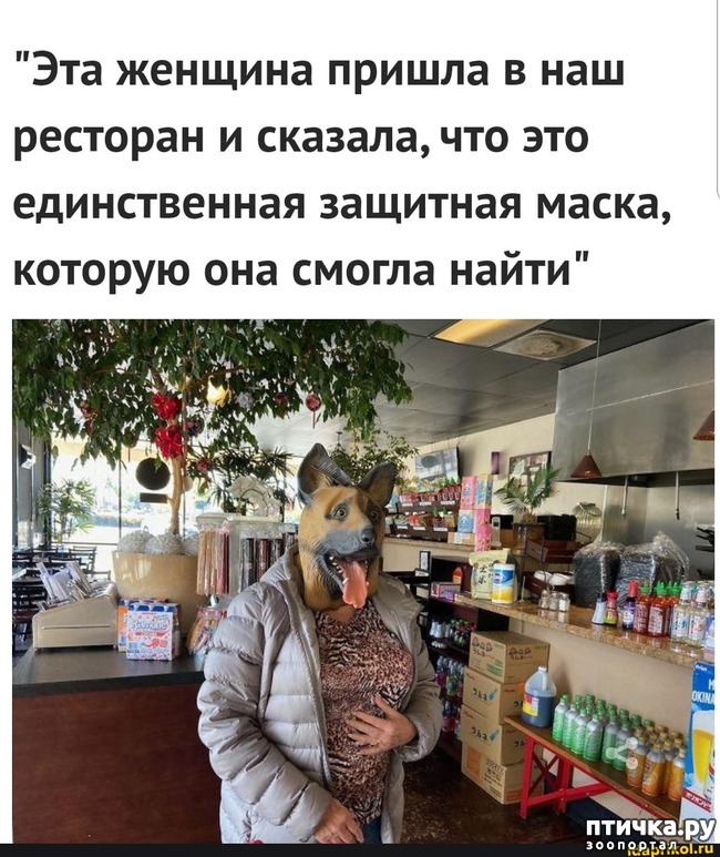 ���� 4: �������� �����