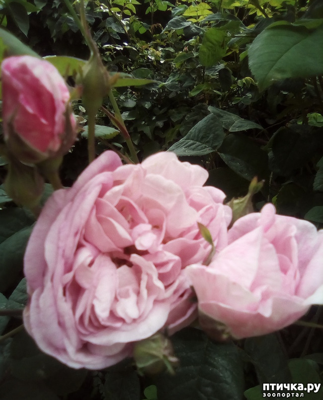 ���� 10: �� ��� ����� ��� ����... �� ���!