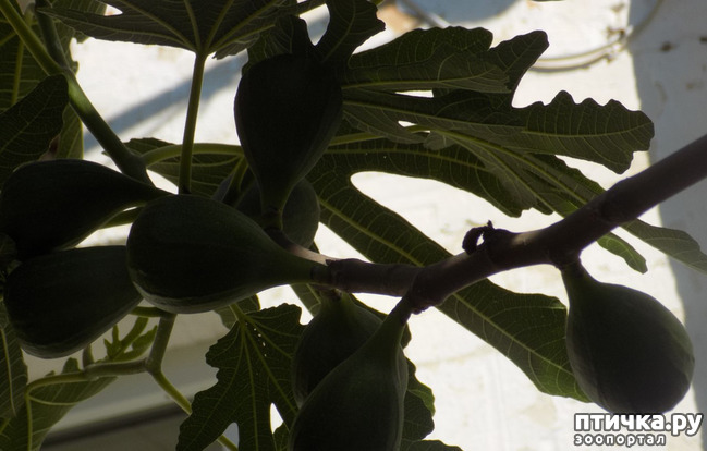 ���� 11: �� ��� ����� ��� ����... �� ���!