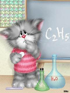 фотография: Как кот Грэй оказался учёным. фото: Как кот Грэй оказался учёным.