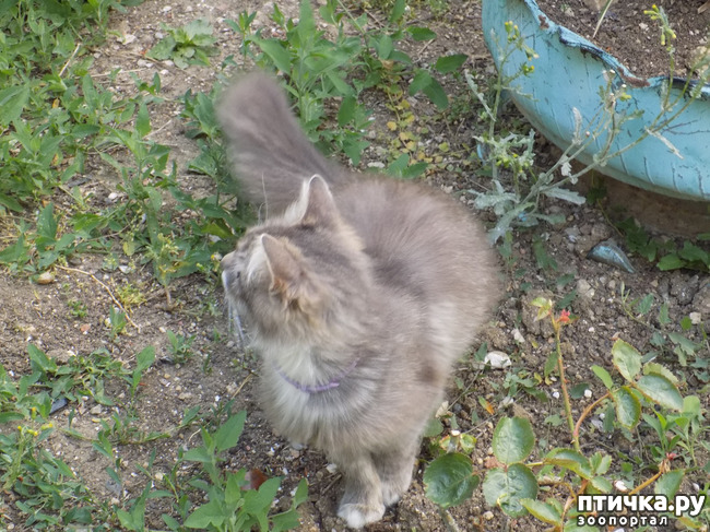 ���� 12: �� ��� ����� ��� ����... �� ���!