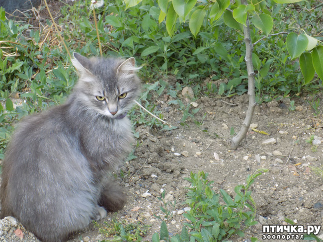 ���� 13: �� ��� ����� ��� ����... �� ���!