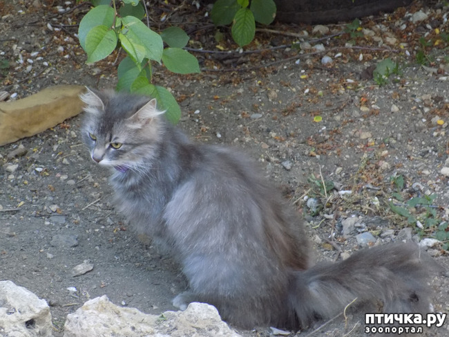 ���� 15: �� ��� ����� ��� ����... �� ���!