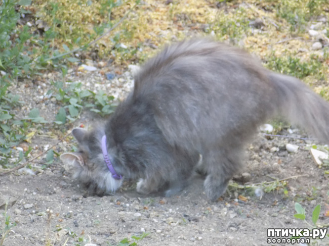 ���� 14: �� ��� ����� ��� ����... �� ���!