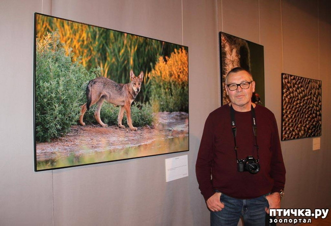 ���� 6: ������. �. �.